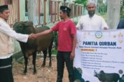 Dewan Dakwah Aceh Serahkan Sapi Kurban untuk Masyarakat Rumpet