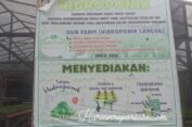 Baim Bantah Telah Membuat Bimtek Untuk Geuchik se Kota Langsa