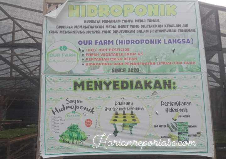 Baim Bantah Telah Membuat Bimtek Untuk Geuchik se Kota Langsa