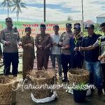 Gampong Seutui, Banda Aceh Launching Penanaman Jahe Tumpang Sari