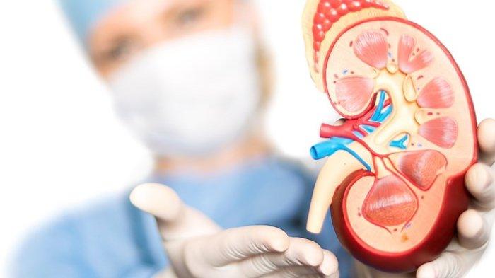 Anak Anak Cuci Darah di RSCM Viral Dimedsos, Berikut Penjelasan Ikatan Dokter Anak