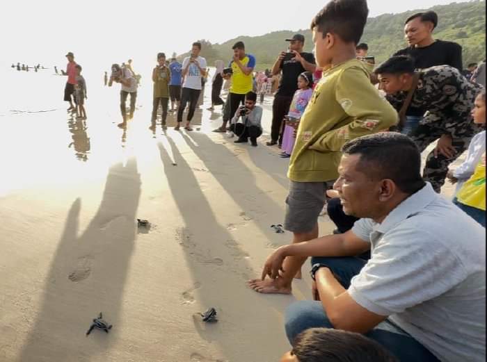 Ketua DPRA Ajak Masyarakat Jaga Kelestarian Penyu