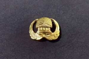 UU ASN 2023, PNS dan PPPK Miliki Hak Yang Sama, Berikut Informasinya