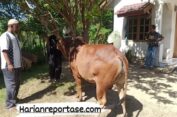 Dewan Dakwah Aceh Salurkan Hewan Qurban ke Daerah Perbatasan Aceh