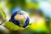 Memelihara Bumi itu Amanah!