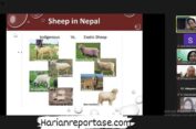 Pusat Riset Sapi Aceh dan Ternak Lokal bersama Departemen Peternakan Fakultas Pertanian USK Adakan Webinar International Guest Lecturer 2024