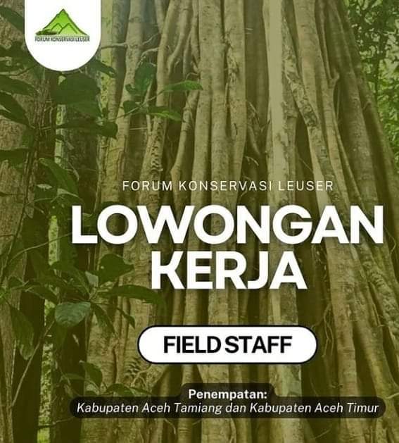 Forum Konservasi Leuser Membuka Lowongan Kerja, Berikut Informasinya