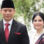 Jadi Menteri, Kekayaan AHY Capai Rp 116 Miliar