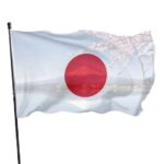 Bakteri Langka Pemakan Daging Landa Jepang