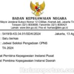 Pemerintah Buka Pendaftaran Seleksi CPNS pada 20 Agustus 2024