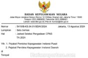 Pemerintah Buka Pendaftaran Seleksi CPNS pada 20 Agustus 2024
