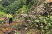 Sempat Normal, Jalan Lintas Aceh Timur-Gayo Lues Kembali Tertimbun Longsor di Lokop