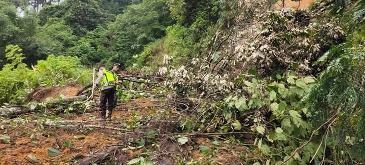 Sempat Normal, Jalan Lintas Aceh Timur-Gayo Lues Kembali Tertimbun Longsor di Lokop