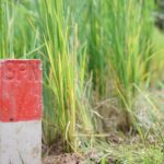 Kurangi Masalah Batas Tanah, Menteri Nusron Imbau Masyarakat Pasang Patok Permanen