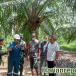 DLH Aceh Timur Lakukan Pemantauan Lingkungan di Panton Rayeuk T