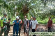 DLH Aceh Timur Lakukan Pemantauan Lingkungan di Panton Rayeuk T