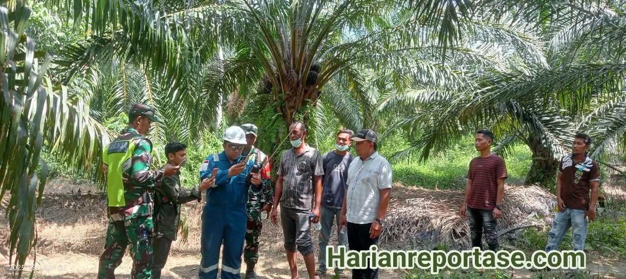 DLH Aceh Timur Lakukan Pemantauan Lingkungan di Panton Rayeuk T
