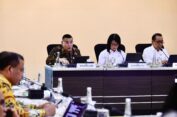 Wamen Ossy Laporkan Progres Pengadaan Tanah untuk Huntap Warga Terdampak Erupsi Gunung Lewotobi Laki-laki ke Menko PMK