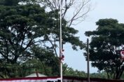 Momen Haru di Nagan Raya: Anak SD Panjat Tiang Demi Kibarkan Merah Putih