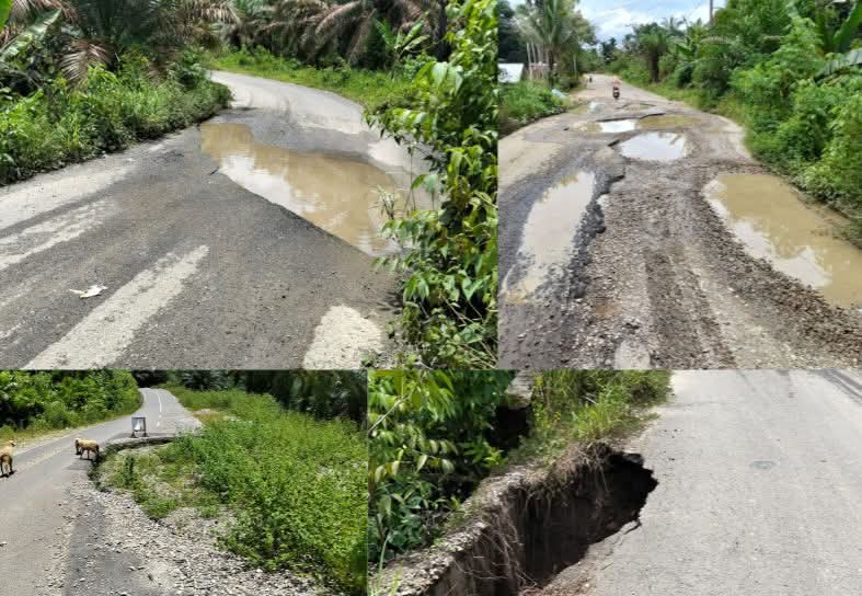 Masyarakat Keluhkan Jalan Peureulak – Lokop Rusak Parah, Rawan Kecelakaan