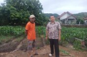 Melirik Kepemimpinan Keuchik Meunasah Tuha dalam Lintasan Sejarah