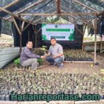 YWHA Kembangkan Wakaf Produktif Budidaya Nilam untuk Pemberdayaan Ekonomi Umat