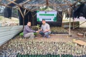 YWHA Kembangkan Wakaf Produktif Budidaya Nilam untuk Pemberdayaan Ekonomi Umat