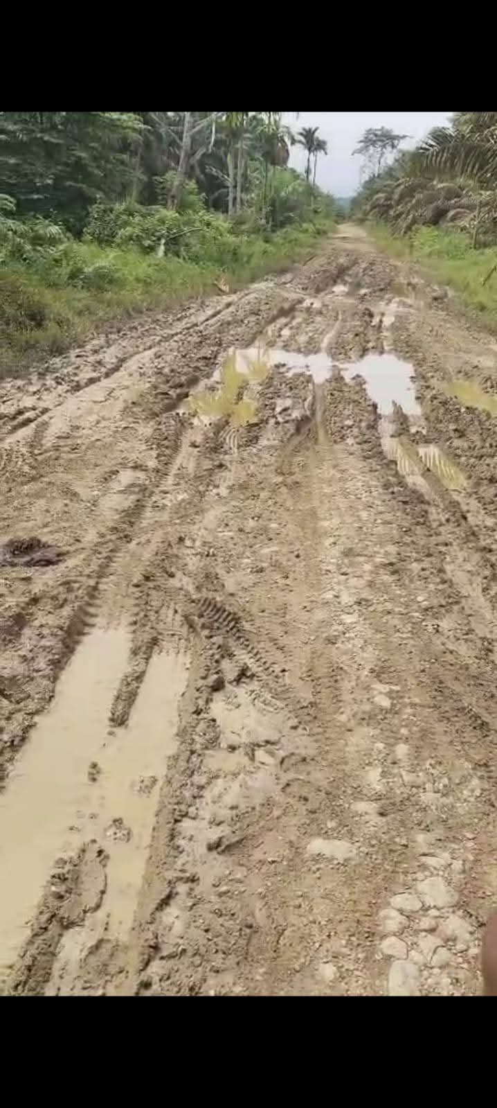 Jalan Peunaron Baru–Serimulya Rusak Parah, Warga Terisolasi Selama Empat Tahun