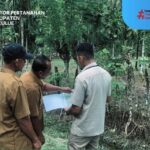 Pertanahan Simeulue Tinjau Lokasi Sengketa di Desa Putra Jaya