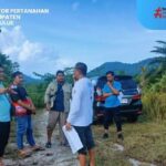 Tim Pertanahan Simeulue Lakukan Cek Lokasi di Kawasan Transmigrasi Sigulai