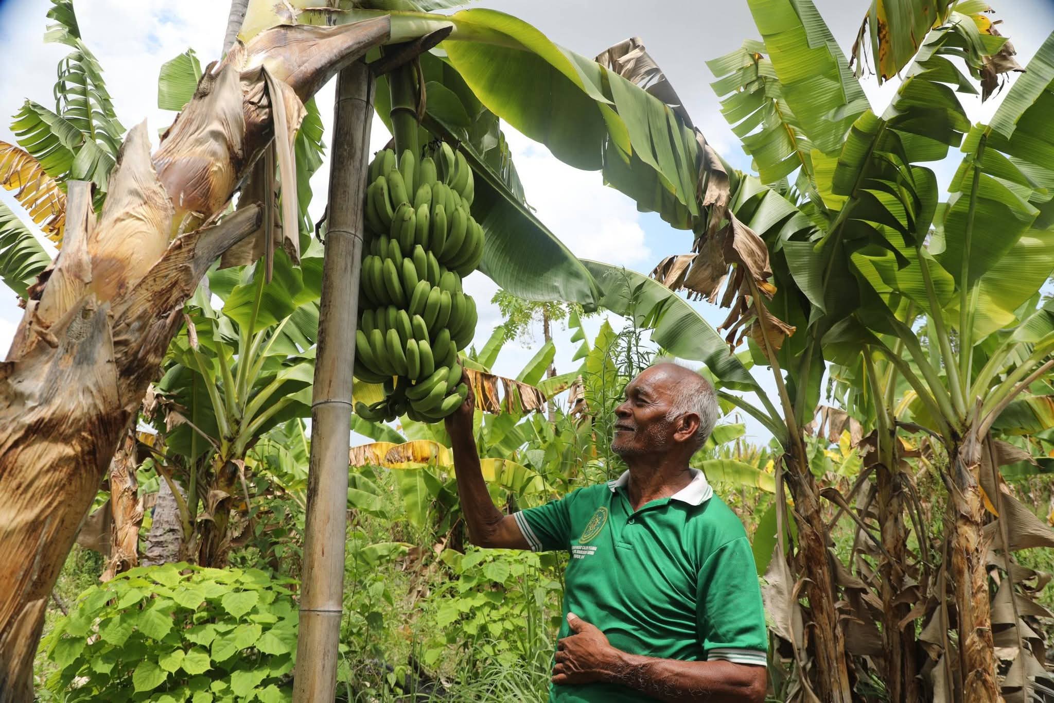 Reforma Agraria Ubah Pola Pikir Warga Desa Baumata di Kabupaten Kupang, Hasilkan Peningkatan Penghasilan Petani