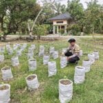 Gagasan Kapolda Aceh Tunjukkan Hasil, Lumpur Banjir Ternyata Bisa Jadi Media Tanam Produktif