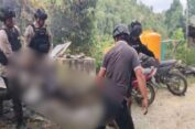 Dua Korban Tewas dalam Penyerangan di Pos Pengamanan PT Kristal Nabire, Satgas Ops Damai Cartenz Lakukan Penyelidikan Mendalam