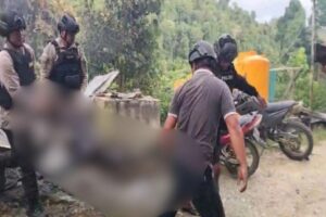 Dua Korban Tewas dalam Penyerangan di Pos Pengamanan PT Kristal Nabire, Satgas Ops Damai Cartenz Lakukan Penyelidikan Mendalam