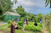 Medco E&P Malaka Dorong Ketahanan Pangan, Warga Indra Makmu Mampu Mandiri dengan Kebun Sayur