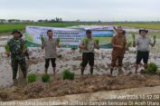 Dukung Swasembada Pangan, BBRMP Aceh Lakukan Tanam Perdana di Lahan Rehabilitasi Dampak Banjir